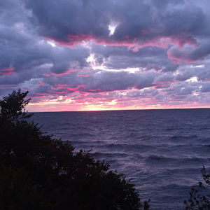 Meet your Posher, Toni